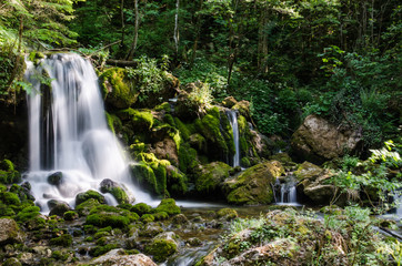 waterfall in the forest