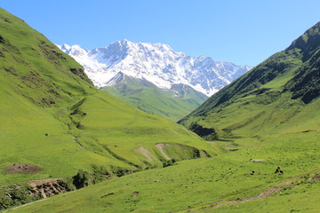 widok na lodowiec pomiędzy górami w lecie © Ewelina