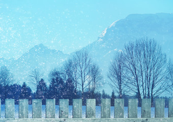 Beautiful panorama with blue mountains forest on winter snow day