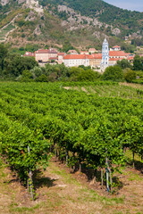 Fototapeta na wymiar Village of Durnstein with vineyards, Wachau Valley, Austria