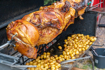 roast piglet at garden party © Richard Semik