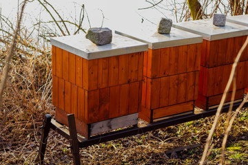 some wooden beehive in the spring sun, nature wooden beehive and flying bees