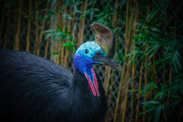 Naklejka premium le here (max: 200 characters)