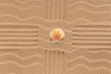 Seashell lies in the center of a cross of lines.