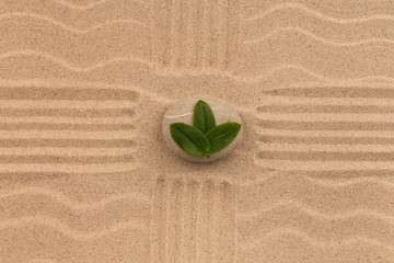 Leaves lie on a stone that stands in the center of a cross of lines.