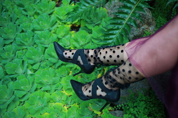 black shoes and female legs on a green background