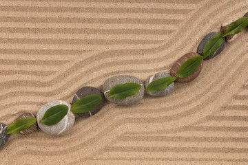 Leaves lie on stones on zigzag lines of sand. Copy space.