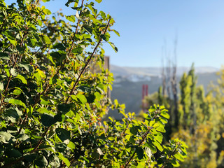 Beautiful landscape with trees in a city park, a warm autumn day in the city
