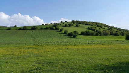 Green Hill and Grass