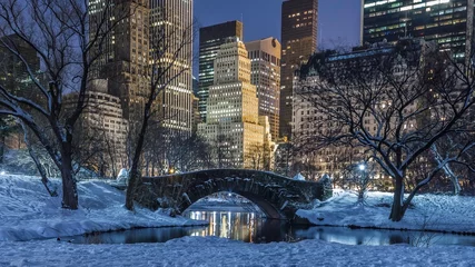 Deurstickers Central Park centrale park in de winter
