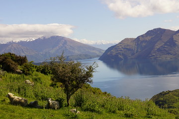 Lake Wanaka Bergbesteigung mit Blick auf den See 