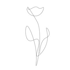 Flower tulip silhouette line drawing vector illustration
