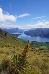 Lake Wanaka Bergbesteigung mit Blick auf den See 