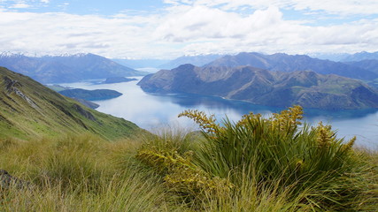 Lake Wanaka Bergbesteigung mit Blick auf den See 