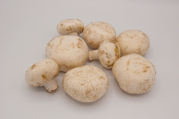 Fresh champignons isolated in white background