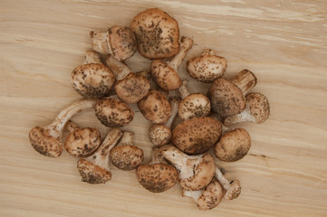 harvested fresh autumn forest mushrooms