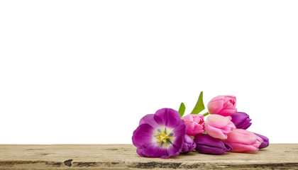 Pink tulips bouquet on wooden Board isolated on white background, copy space