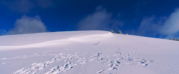 Ski resort. Beautiful winter landscape. Winter background.