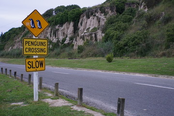 Achtung Pinguine queren die Stra&szlig;e!