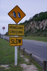 Achtung Pinguine queren die Stra&szlig;e!