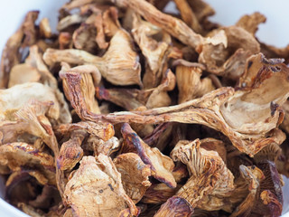 Dried chanterelles close up