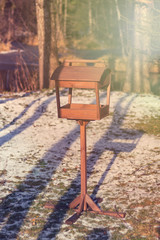A wooden bird feeder in a dark forest stands on the ground. Shallow depth of field. There is a tint