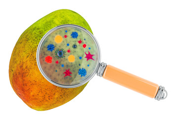 Mango with germs, microbes or viruses under magnifying glass, 3D rendering