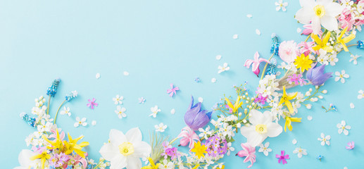 spring flowers on paper background - obrazy, fototapety, plakaty
