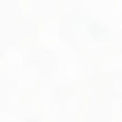 soft unfocused square format background texture with snow, mint cream and Light grayish green colors space for text or image