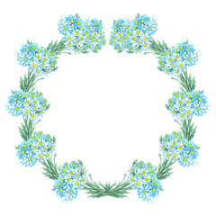 daisy flowers circle frame watercolor