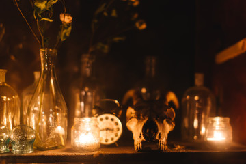 Shelf of alchemist jars of medicine potions skull goat skull. Ancient mystery magic mystic occult...