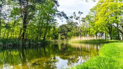 Fototapeta na wymiar Bäume an einem Teich im Park
