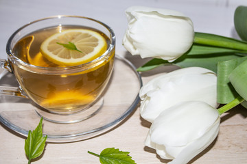 Tea. green Tea. Herbal tea. Mint leaf. Tea with apple flavor. Tea in a glass cup with apple blossoms and leaves dried tea sliced lime. herbs tea and mint leaves on a slate plate in a restaurant or tea