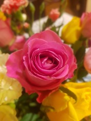 bouquet of roses