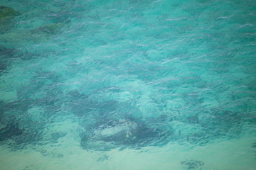 Turquise ocean texture colour