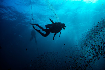 Happy scuba diver getting down in the deep sea