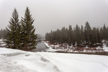 Heavily forested area with tall evergreens surrounding heavy snow and calm river with fog