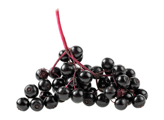 Elderberries with twig isolated on a white background. Selective focus.