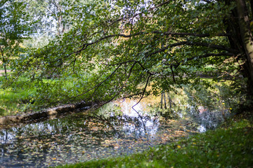 Pond in Pole Mokotowskie Park, Warsaw, Poland