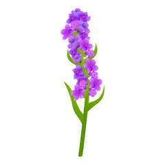 Obraz premium Lavender plant icon. Cartoon of lavender plant vector icon for web design isolated on white background