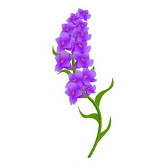 Botany lavender icon. Cartoon of botany lavender vector icon for web design isolated on white background