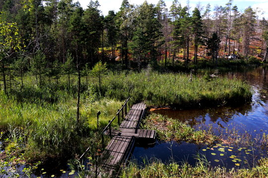 br&uuml;ckeim see