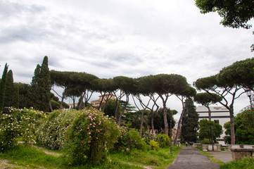 Out of the hustle of the city. Recreational park. Park view with palm trees and other tropical...