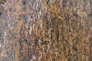 Old Weathered Wet Natural Stone Texture