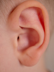 Beautiful ear of ten year old child close up, 10 y.o. kid