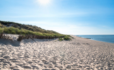 White sand beach with grass at North Sea on Sylt island in summer