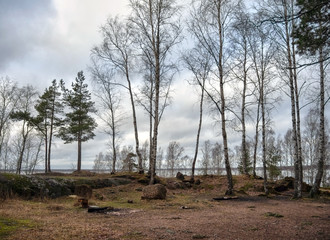 High stone lake shore. Trees and huge boulders covered with moss, in cloudy spring weather.