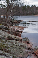 Obraz premium The rocky shore of a large lake in early spring, trees, large stones and melting ice near the shore on a cloudy spring day.
