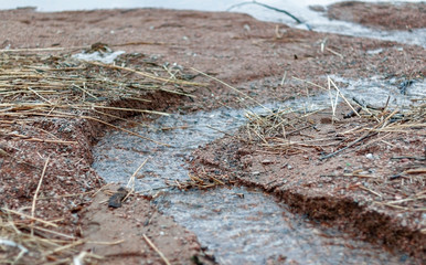 A creek in the sand on the shore of a large lake in early spring, melting ice near the shore on a cloudy spring day.