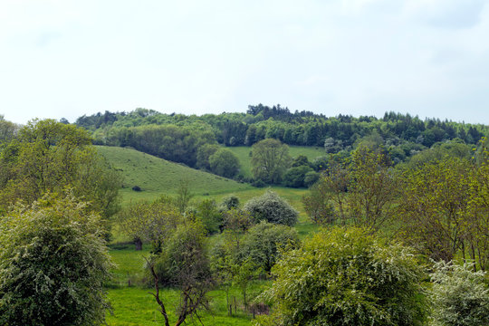 English Countryside With Green Meadows, Pastures, Flowering Trees And Shrubs, In Rural Cotswolds On A Spring Day .